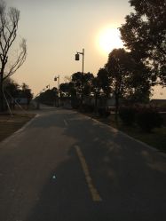 -水八仙生态园
