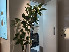 -喜茶(东莞厚街万达店)