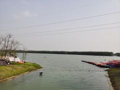 -上海海湾国家森林公园