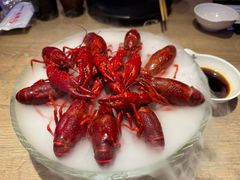精品冰镇龙虾-红盔甲·小龙虾(车公庙店)