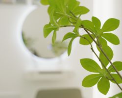 -AM半永久纹眉