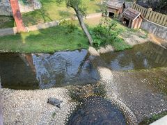 -广东惠东海龟国家级自然保护区