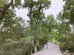 -莲湖公园