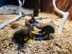 -酷嗒动物文化乐园(cutezoo西溪乐天城店)