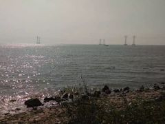 -宝安西湾红树林湿地公园