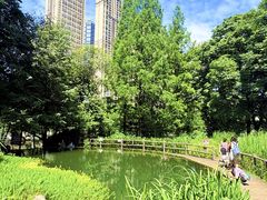 -成都市活水公园