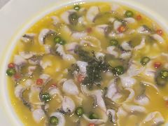 -青花椒花椒鱼(合生汇店)