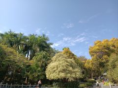 -深圳国际园林花卉博览园