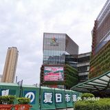夏日市集