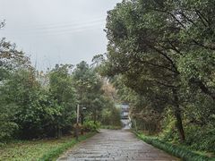 -黄公望隐居地
