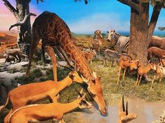 -国家自然博物馆