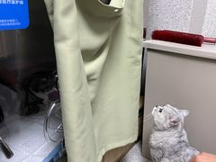 -谐和贝康宠物医院24小时·宠保定点(急重症转诊中心)
