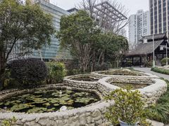 -活水公园