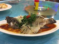 -御唐府海珊瑚主题餐厅
