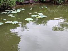 -广州神农草堂中医药博物馆