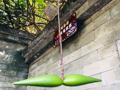 -广州神农草堂中医药博物馆