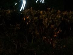 -山湖温泉