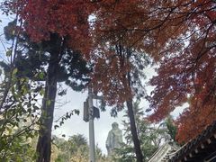 -青岛崂山太清宫