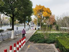 -芳华路(地铁站)