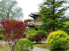 -晋祠公园