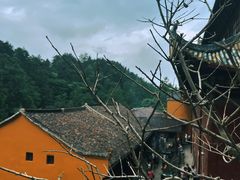 -九华山风景区
