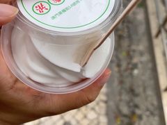 -洪馨椰子