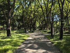 -玲珑塔公园