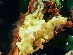 -越海渔村