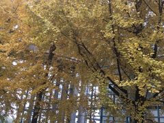 -四川大学(江安校区)