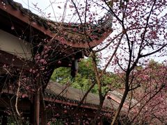 -望江楼公园