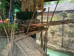 -新加坡水上探险乐园