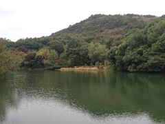 -白马涧龙池景区