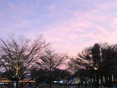 -太平洋咖啡(海天驿站店)