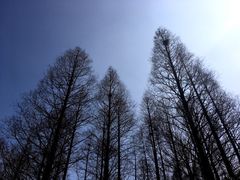 -同里国家湿地公园