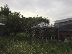 -小象钓虾·营地烧烤(洛溪店)