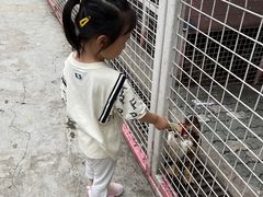 -J Create城市露营咖啡·简餐·宠物(上海动物园店)