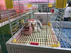 -三旗百汇商品城