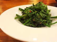 龙须菜-都江堰石锅鱼