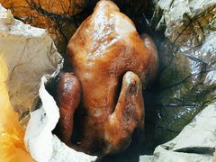 -梦幻奥陶纪景区