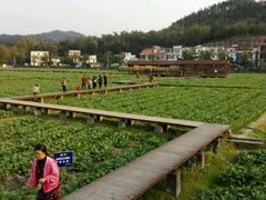 -红山村