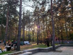 -黑龙江省森林植物园