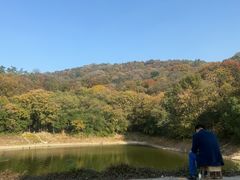 -紫金山山顶公园