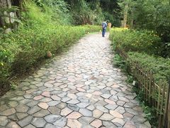 -远山有窑