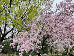 -元大都城垣遗址公园