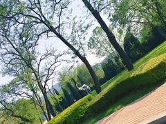 -棒棰岛宾馆景区