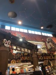 -卡通尼·Safari非洲探索乐园·生日会(金桥国际商业广场店)