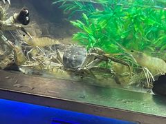 -V-ONE西雅图海鲜自助餐厅(仓山万达广场店)