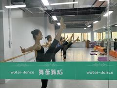 -舞蕾舞蹈(特长生校区)