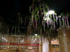 -奥阳水立方温泉休闲中心