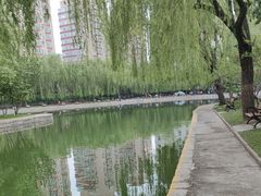 -团结湖公园